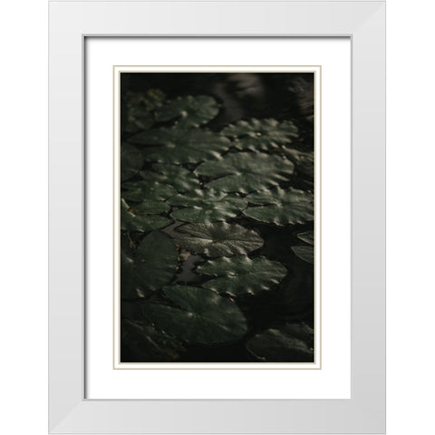 Botanical Series - Water Lily Leaves 1/2 White Modern Wood Framed Art Print with Double Matting by Elijas, Eva