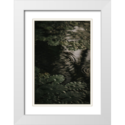 Botanical Series - Water Lily Leaves 2/2 White Modern Wood Framed Art Print with Double Matting by Elijas, Eva
