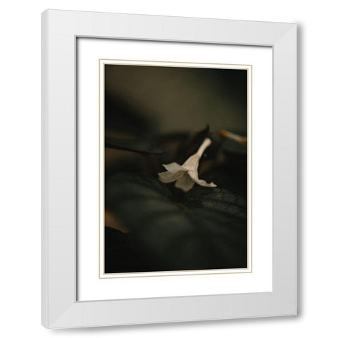 Botanical Series - White Blossom White Modern Wood Framed Art Print with Double Matting by Elijas, Eva