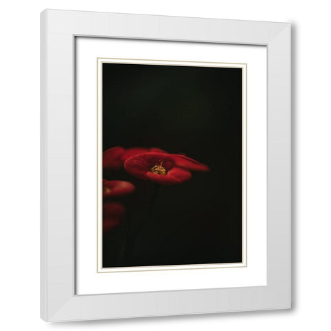Botanical Series - Red Blossom White Modern Wood Framed Art Print with Double Matting by Elijas, Eva