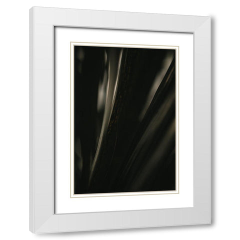 Botanical Series - Palm Leaf White Modern Wood Framed Art Print with Double Matting by Elijas, Eva