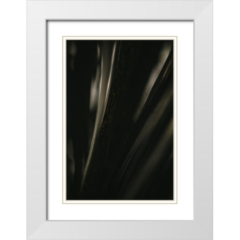 Botanical Series - Palm Leaf White Modern Wood Framed Art Print with Double Matting by Elijas, Eva