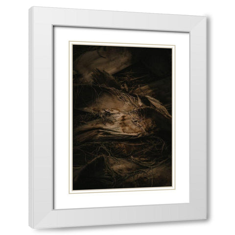 Botanical Series - Palm Bark White Modern Wood Framed Art Print with Double Matting by Elijas, Eva