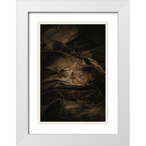 Botanical Series - Palm Bark White Modern Wood Framed Art Print with Double Matting by Elijas, Eva