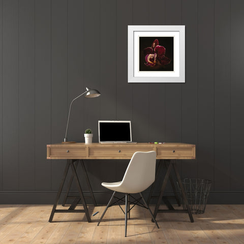 Botanical Series - Orchid a Droplets White Modern Wood Framed Art Print with Double Matting by Elijas, Eva