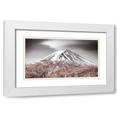 Sakura Fuji White Modern Wood Framed Art Print with Double Matting by Mitamura, Takeshi