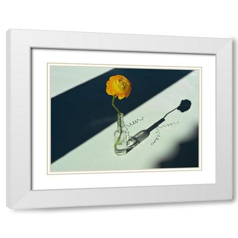 Light A Shadow White Modern Wood Framed Art Print with Double Matting by Basso, Donatella