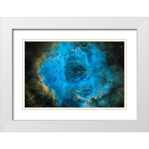 Rosette White Modern Wood Framed Art Print with Double Matting by Chander, Vikas