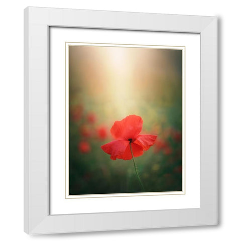 Light And Colors 3 7R41568 White Modern Wood Framed Art Print with Double Matting by joanaduenas