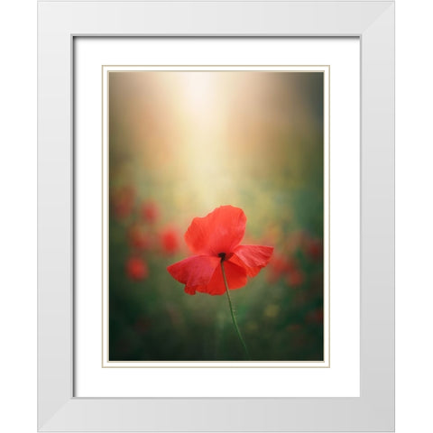 Light And Colors 3 7R41568 White Modern Wood Framed Art Print with Double Matting by joanaduenas
