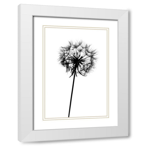 Contrasts White Modern Wood Framed Art Print with Double Matting by Malysheva, Tatiana
