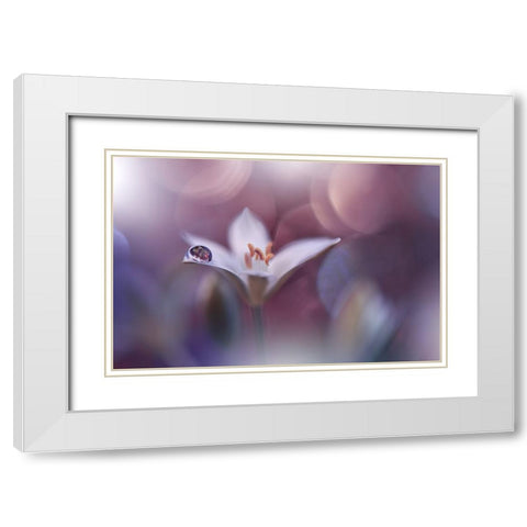 Time Traveller.. White Modern Wood Framed Art Print with Double Matting by Nan, Juliana