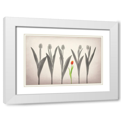 Tulip Forest White Modern Wood Framed Art Print with Double Matting by Jacobs, Lydia
