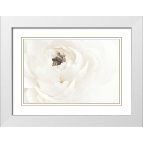 White Flower 02 White Modern Wood Framed Art Print with Double Matting by 1x Studio III