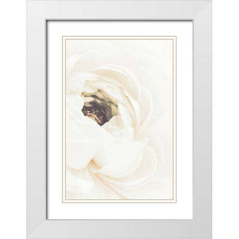 White Flower 01 White Modern Wood Framed Art Print with Double Matting by 1x Studio III