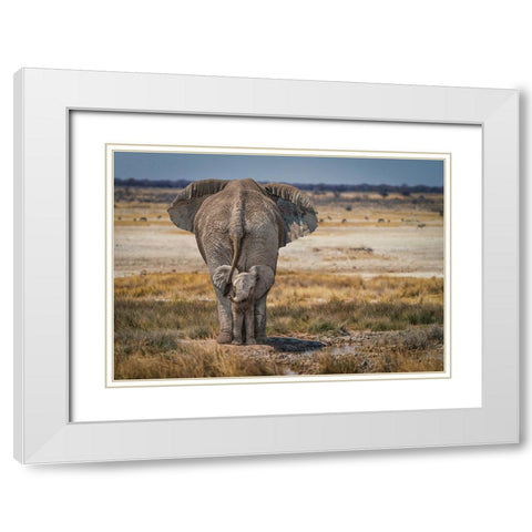 BabyElephant White Modern Wood Framed Art Print with Double Matting by Egger, Marcel