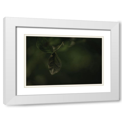 Botanical Series - Leaves 1/5 White Modern Wood Framed Art Print with Double Matting by Elijas, Eva