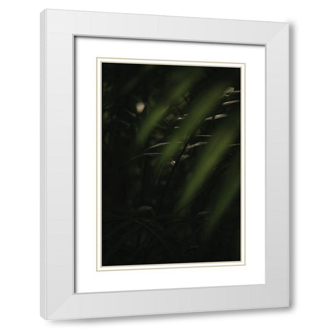 Botanical Series - Leaves 2/5 White Modern Wood Framed Art Print with Double Matting by Elijas, Eva