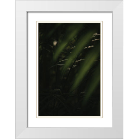 Botanical Series - Leaves 2/5 White Modern Wood Framed Art Print with Double Matting by Elijas, Eva