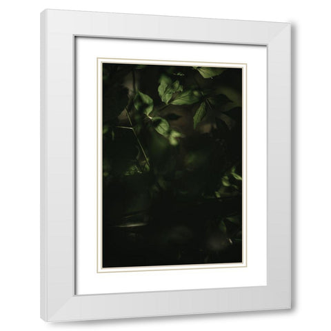 Botanical Series - Leaves 3/5 White Modern Wood Framed Art Print with Double Matting by Elijas, Eva