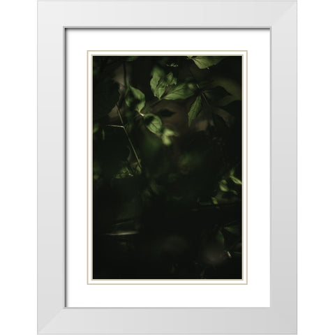 Botanical Series - Leaves 3/5 White Modern Wood Framed Art Print with Double Matting by Elijas, Eva