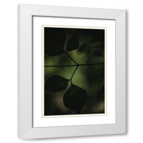 Botanical Series - Leaves 4/5 White Modern Wood Framed Art Print with Double Matting by Elijas, Eva