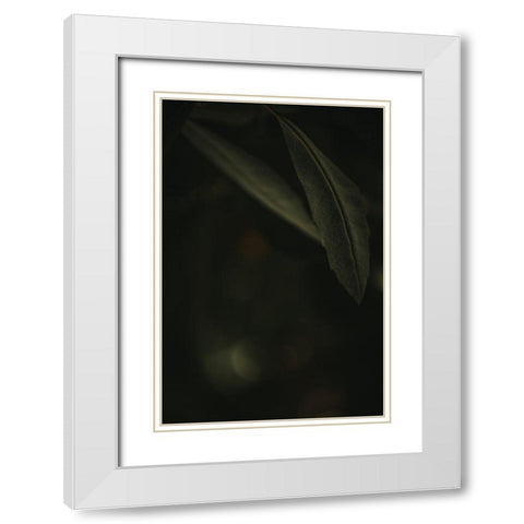 Botanical Series - Leaves 5/5 White Modern Wood Framed Art Print with Double Matting by Elijas, Eva