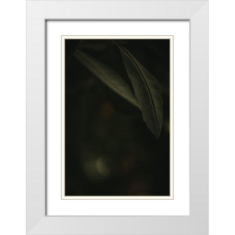 Botanical Series - Leaves 5/5 White Modern Wood Framed Art Print with Double Matting by Elijas, Eva