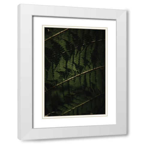 Botanical Series - Fern 2/2 White Modern Wood Framed Art Print with Double Matting by Elijas, Eva
