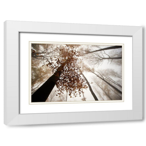 Fall White Modern Wood Framed Art Print with Double Matting by Baekelandt, Luc