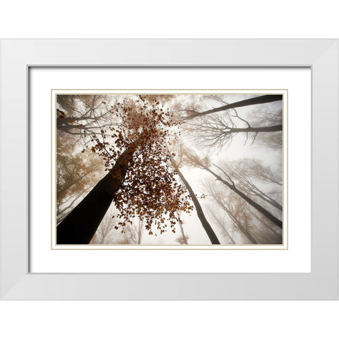 Fall White Modern Wood Framed Art Print with Double Matting by Baekelandt, Luc