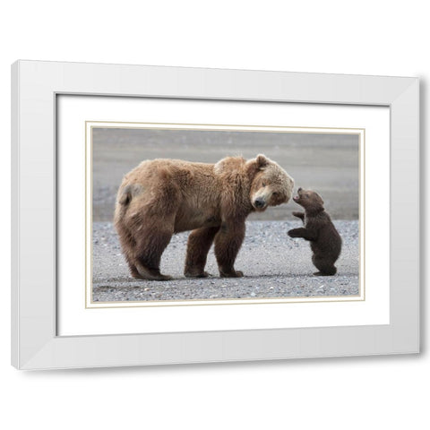 Momma Please White Modern Wood Framed Art Print with Double Matting by D Lester, Linda