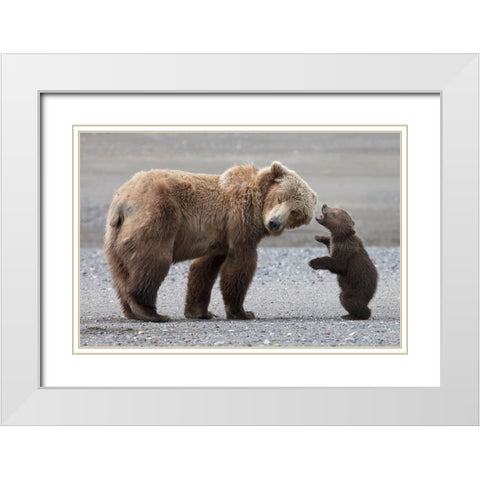 Momma Please White Modern Wood Framed Art Print with Double Matting by D Lester, Linda