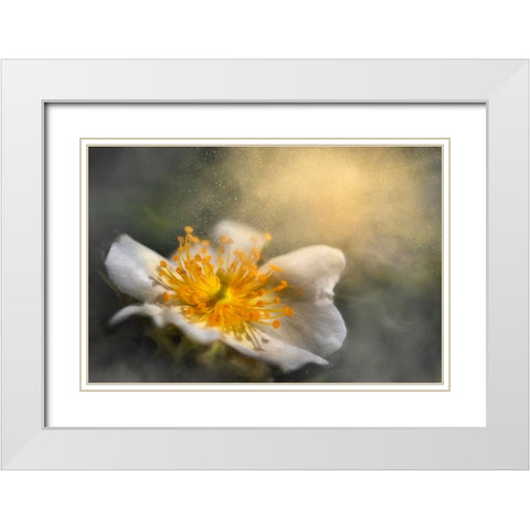 Dreaming White Modern Wood Framed Art Print with Double Matting by Kiral, Cicek