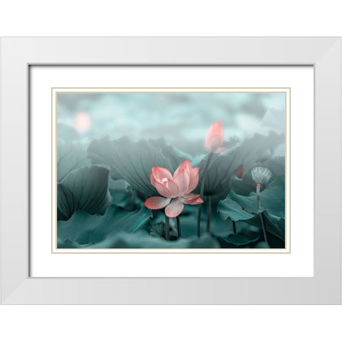 Lotus Flower and Bud White Modern Wood Framed Art Print with Double Matting by Liu, Betty