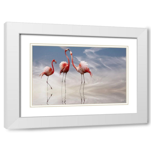 ... White Modern Wood Framed Art Print with Double Matting by Cseresnjes, Anna