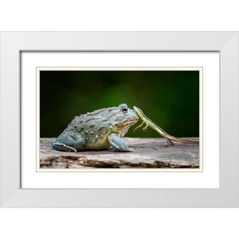 Huggy White Modern Wood Framed Art Print with Double Matting by Suharini, Mieke