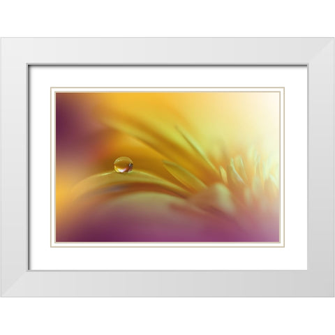 A World Of Color.. White Modern Wood Framed Art Print with Double Matting by Nan, Juliana