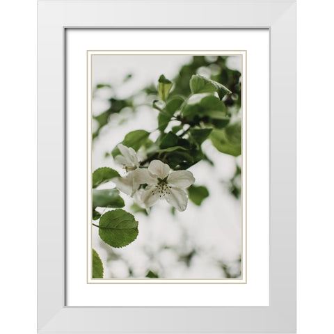 Spring Series - Apple Blossoms in the Rain 10/12 White Modern Wood Framed Art Print with Double Matting by Elijas, Eva