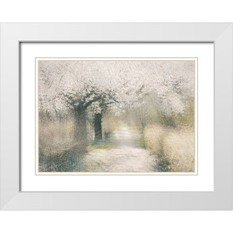 Cherry blossom White Modern Wood Framed Art Print with Double Matting by Talen, Nel