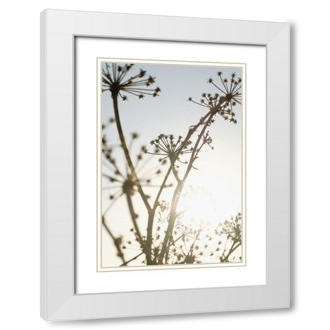 Beach flowers_001 White Modern Wood Framed Art Print with Double Matting by 1x Studio III