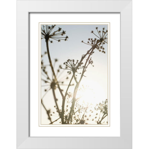 Beach flowers_001 White Modern Wood Framed Art Print with Double Matting by 1x Studio III