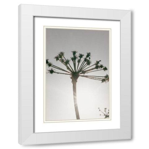 Beach flowers_002 White Modern Wood Framed Art Print with Double Matting by 1x Studio III