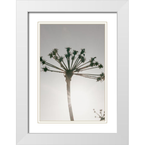 Beach flowers_002 White Modern Wood Framed Art Print with Double Matting by 1x Studio III