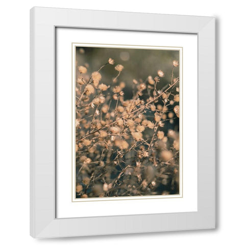 Beach flowers_003 White Modern Wood Framed Art Print with Double Matting by 1x Studio III