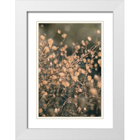 Beach flowers_003 White Modern Wood Framed Art Print with Double Matting by 1x Studio III