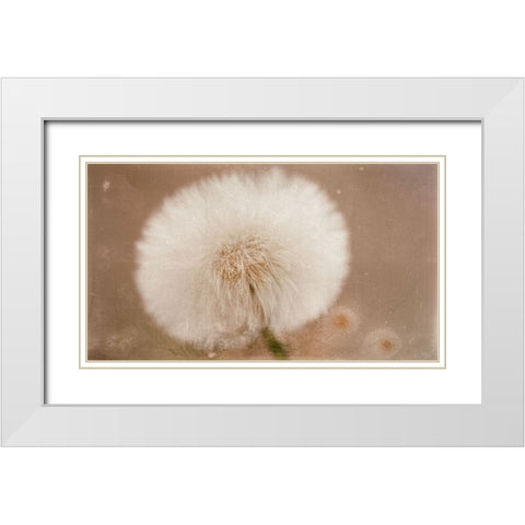 Softie White Modern Wood Framed Art Print with Double Matting by Stas, Marie-Anne