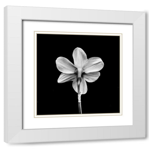One White Modern Wood Framed Art Print with Double Matting by Bland, Richard