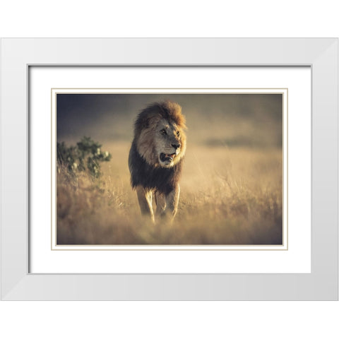 The King White Modern Wood Framed Art Print with Double Matting by Sobhi, Ahmed