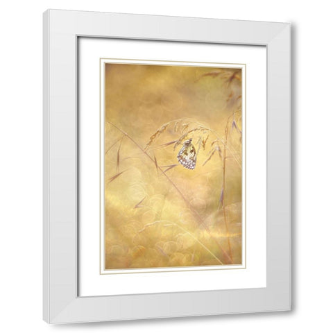 Sprinkle White Modern Wood Framed Art Print with Double Matting by Van Helden, Elisabeth
